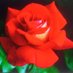 Ismail Hossain (@ismail01735) Twitter profile photo Ismail Hossain (@ismail01735) Twitter profile photo
