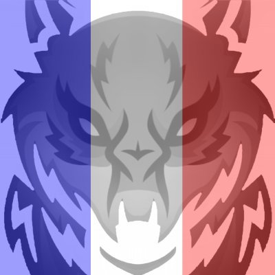 France Positive 🇫🇷-🇮🇹-🇮🇪-🇭🇺