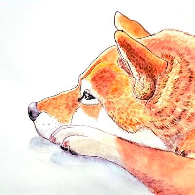 -BUK-さんのプロフィール画像