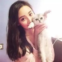 真帆 (@zhnfn105280) 's Twitter Profile
