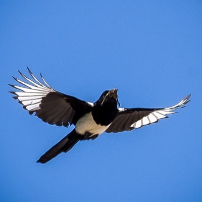 blende1zwo's profile picture. Küste - Fotos - Natur - selbstverständlich #TeamAntifa

und statt bunter Fahnen im Profil: Putin nach Den Haag!