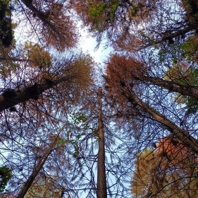 WZW1836997's profile picture.