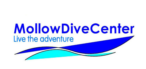 We are Authorized PADI Dive Center (S-25199) who provides PADI Dive Course from beginner to professional levels and DAN Asia Pacific Supporter (DS-0652)