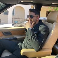 Serhat (@serhattucdann) 's Twitter Profile