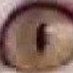 pa.ttttp (@suwrrnathn73075) Twitter profile photo pa.ttttp (@suwrrnathn73075) Twitter profile photo