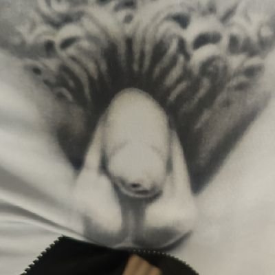 bacaninhaperfei's profile picture. Olhando e dando like