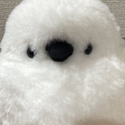 KBun55's profile picture. ようやく気づき…出来ることから少しずつ…日々学び