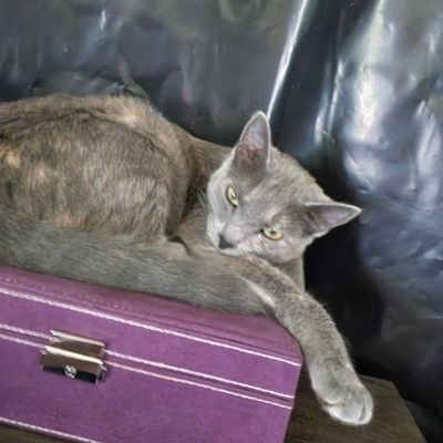 HallieDevroome's profile picture. Happy mommy of 2 beautiful little girls