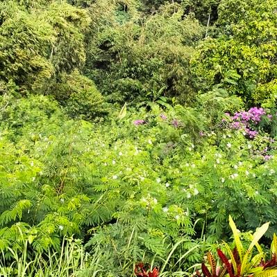 zarethaaa's profile picture. 