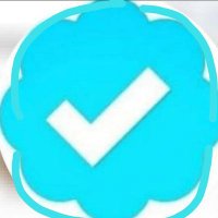 ابو ناصر (@bwnr253822) 's Twitter Profile
