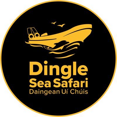 Dingle Sea Safari ~ Daingean Uí Chúis