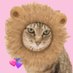 トゥイ Tui🐈⬛🐾 (@tuikotin) Twitter profile photo トゥイ Tui🐈⬛🐾 (@tuikotin) Twitter profile photo