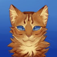 Kylm (@0xkylm) 's Twitter Profile