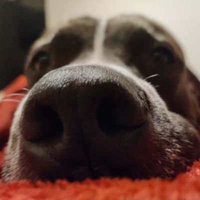 db3official's profile picture. 