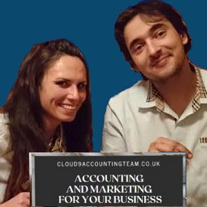 BOOKKEEPING & ACCOUNTING SERVICE FOR ONLINE BASED BUSINESSES, E-COMMERCE, TRADERS, DRIVERS, PROPERTY MAINTENANCE, CONSTRUCTIONS BUT ALSO STILL FOR OTHERS