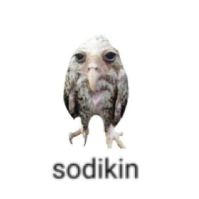 Owl 🍉さんのプロフィール画像
