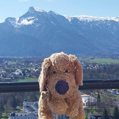 Talks/Writes/Teaches all things #journalism
Travel blogger and podcaster
| 🇬🇧/🇮🇪 |
Not an actual Mutt.