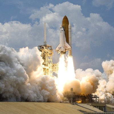 wadehodl's profile picture. Let's go to moon!