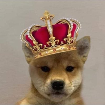 Alpha everywhere, i share sendors sometimes, bullish on $sol. Feel free to use my referral code: https://t.co/CNXezR5iK8