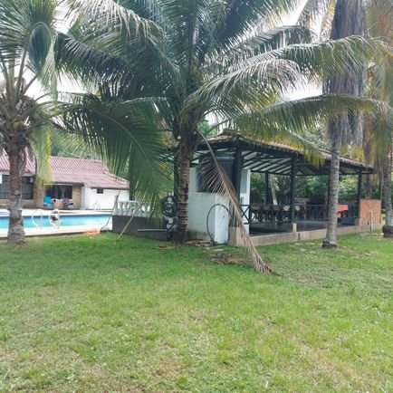 EdwinEstefany's profile picture. Somos pareja full swinger ella curiosa ambos  39 años buscamos parejas similares full  sw tríos y intercambios orgías hombres sólo Noooo abstenerse