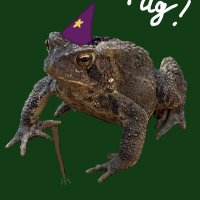 Frug (@frugonsolana) 's Twitter Profile
