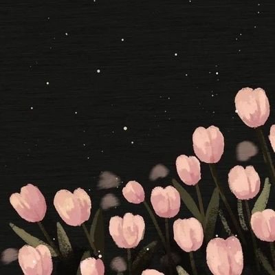 Chiimdii's profile picture. 