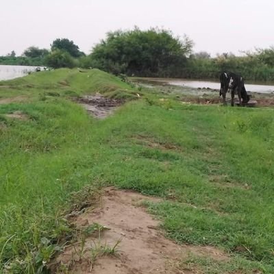 Swer5858's profile picture. حسابي الشخصي