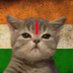 Billa Bhai (@billabhaiii) Twitter profile photo Billa Bhai (@billabhaiii) Twitter profile photo