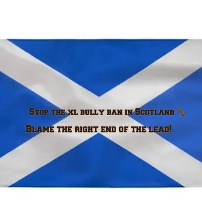 Campaign against the ban on xl bully types and BSL