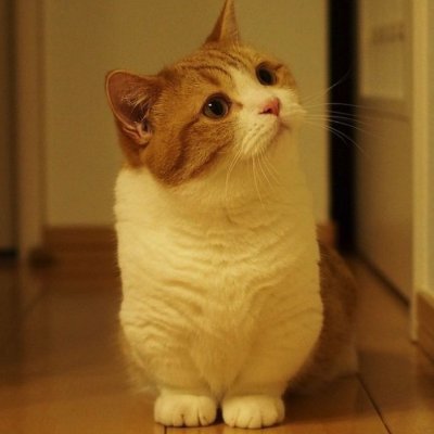 LOyJelX6C466466's profile picture. 