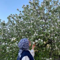 Haجer🍉 (@haacerknr) Twitter profile photo