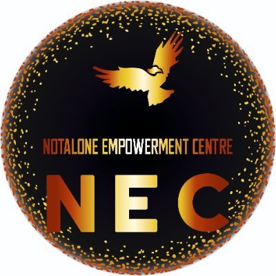 NEC is a grassroots organization and prioritizes inclusion, equality, and dignity, taking transformative action to address root causes and empower individuals.