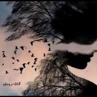 Sham (@sham1014145) 's Twitter Profile