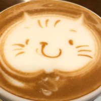 ボサ (@dvffsj1h7inhnnp) 's Twitter Profile