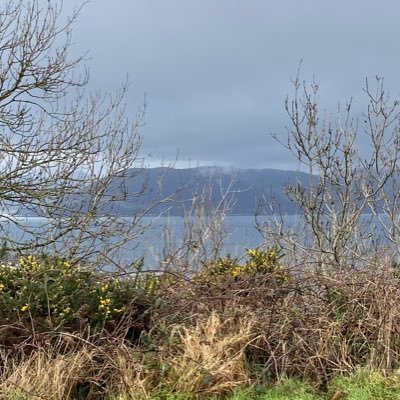 neeceybarber's profile picture. 