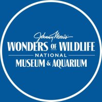 Wonders of Wildlife(@WOWaquarium) 's Twitter Profile Photo