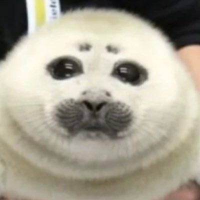 eandrsto's profile picture. 