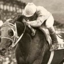 Administración, Asesoramiento Compra-Venta de Caballos Purasangre de Carreras