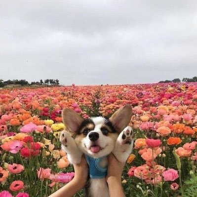 hizejay's profile picture. second hand by zj🧤