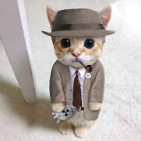 Night (@ch5bcqs89m) 's Twitter Profile