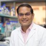 Rahulshukla2902's profile picture. Senior Scientist @CSIR_CDRI, Assitant Professor @AcSIR; Ex @ICGEBNewDelhi, Ex @IcahnMountSinai New York | Developing antiviral strategies for Human health care