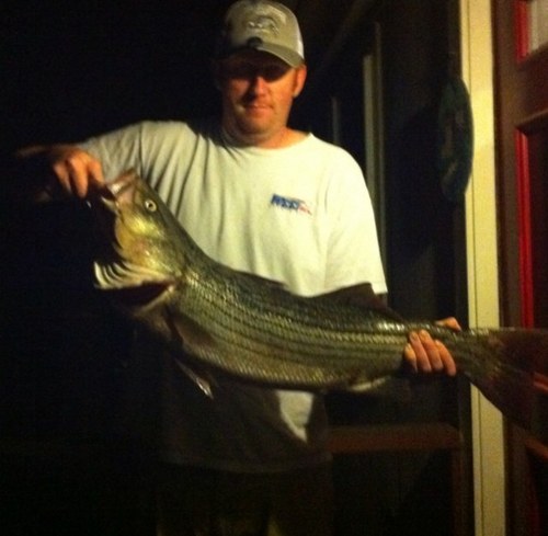 james_rolston's profile picture. love boston sports, fishing, and hunting