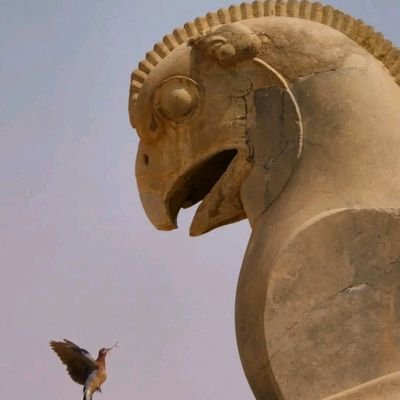 وطن پرست،👑پادشاهی خواه👑 متنفر از سه فاسد ملا😡 چپول 😠مجاهد🤮