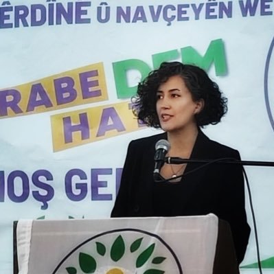 DevrimHesin's profile picture. Muzîkjen | Müzisyen | Hevseroka Şaredariya Bajarê Mezin a Mêrdînê | DEM Parti Mardin Büyükşehir Belediye Eşbaşkanı