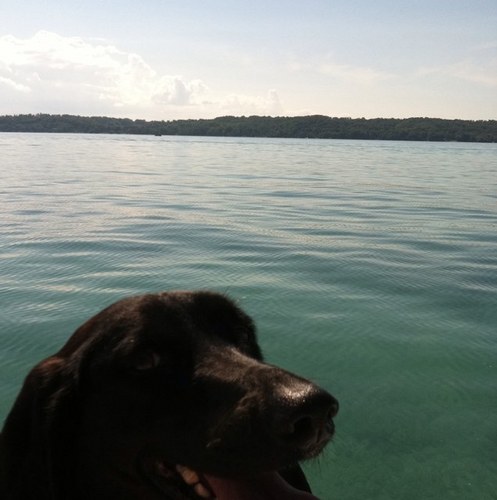 jazmsu's profile picture. 