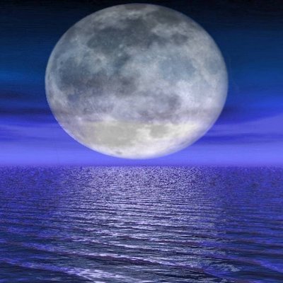 Duesi79's profile picture. Als Legastheniker rutschen mir leider immer mal Fehler rein.Da nützt es auch nichts diese in der Antwort mangels Argumente hervor zu heben.