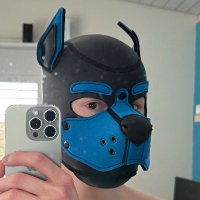 Fynn (@fynnthepup) 's Twitter Profile