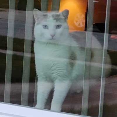 BillNWI's profile picture. 