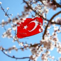 Ahmet TOKGÖZ (@mstar788) 's Twitter Profile