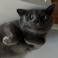 WL (@wltr_ua) 's Twitter Profile Photo
